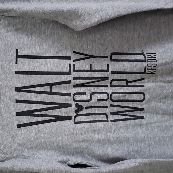 Walt Disney World resorts sweatshirt, crewneck, gray, women's size large - Picture 2 of 4